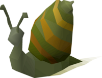Giant snail.png